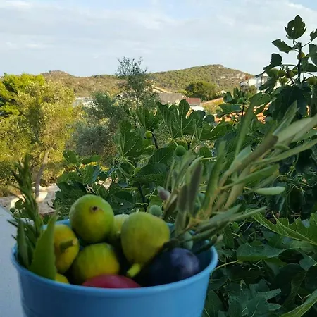 Apartmán Vala